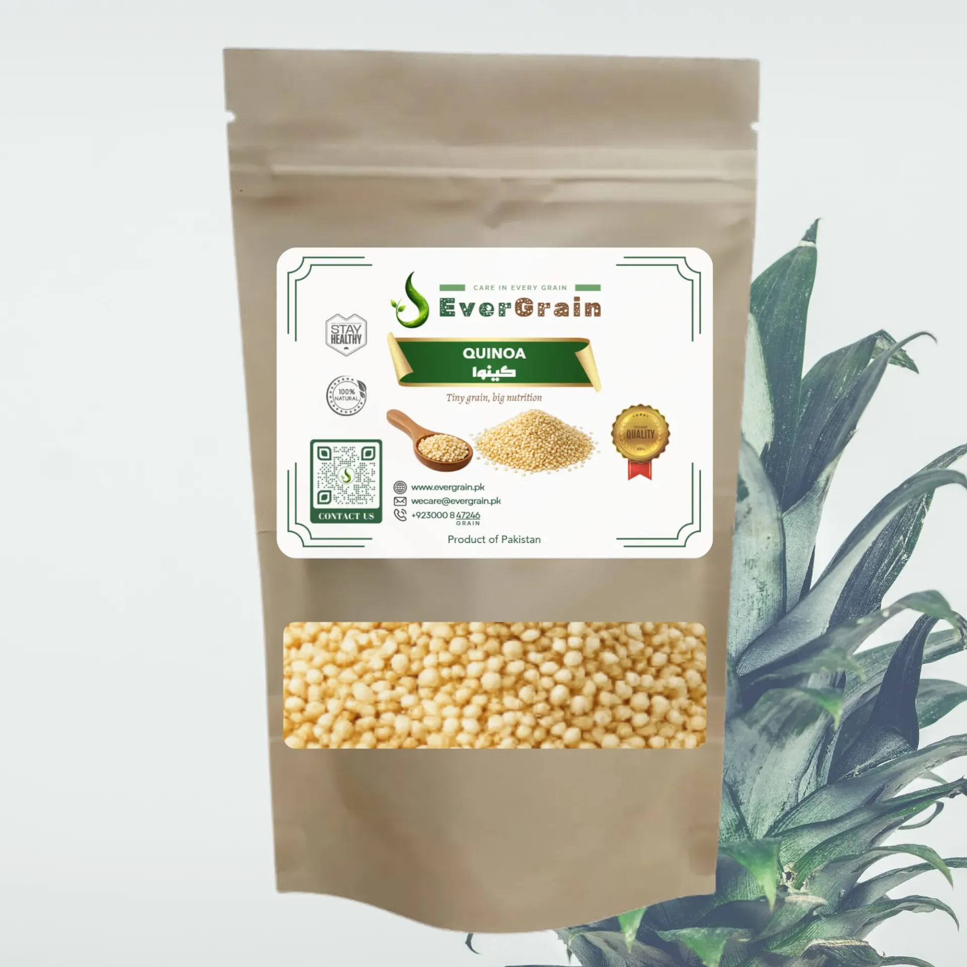 EverGrain Quinoa Seeds (Unwashed) |100% Natural Superfood | Vegan & Keto Friendly